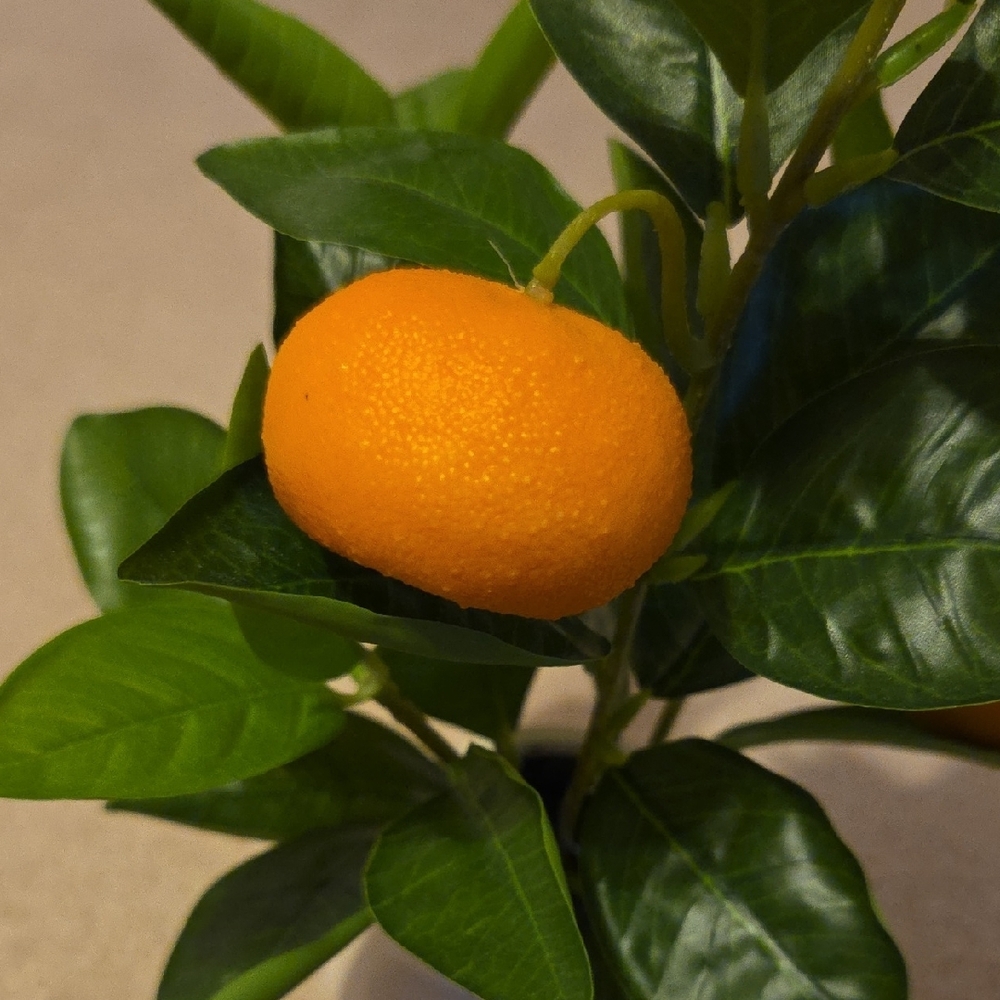 Orange and Green Faux Plant in White Vase - Picture 3 of 3